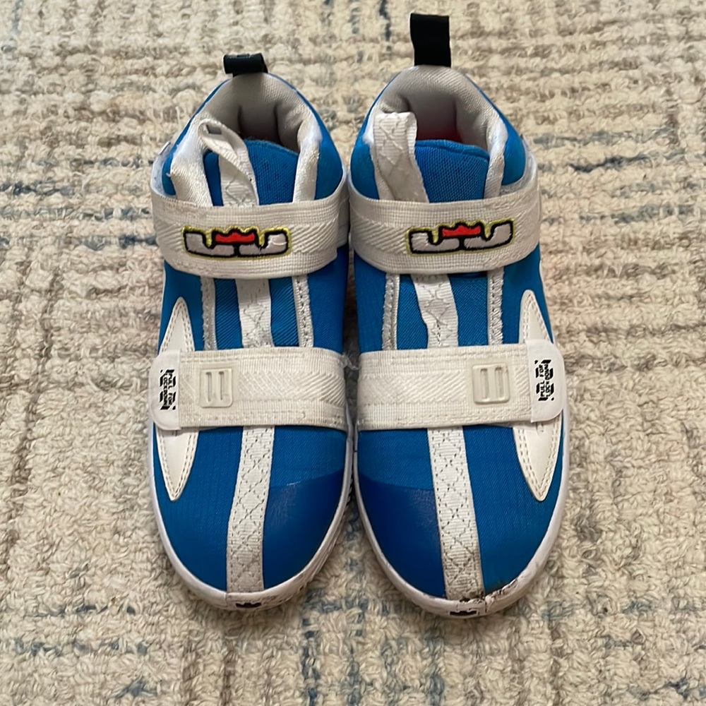 LeBron James Nike Tennis Shoes